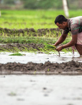 AquAgre Processing Private Limited