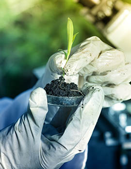 IFFCO MITSUBISHI CROP SCIENCE PRIVATE LIMITED