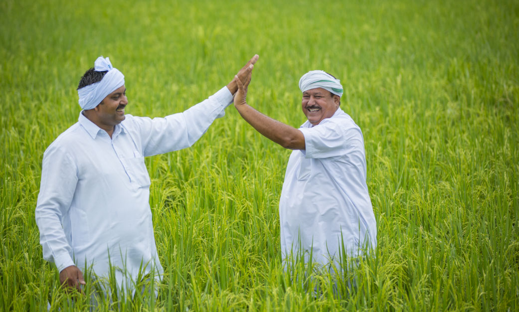 IFFCO Chairs in Institutions