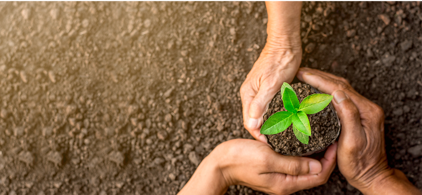 Commemorating the Cooperative Model