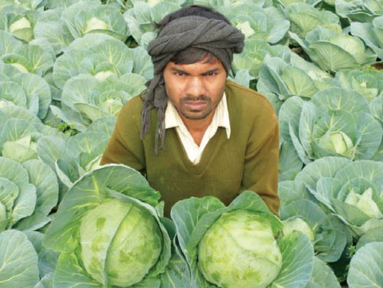 Right Guidance Changed Arun’s Life