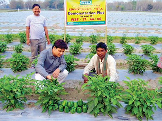 Wilderness to Watermelons! - Transformation of a Barren Land Despite having fertile lands, people of Lakhnabandha Village of Nagaon in Assam left their village for better opportunities in cities. When some prudent villagers approached IFFCO to seek help t