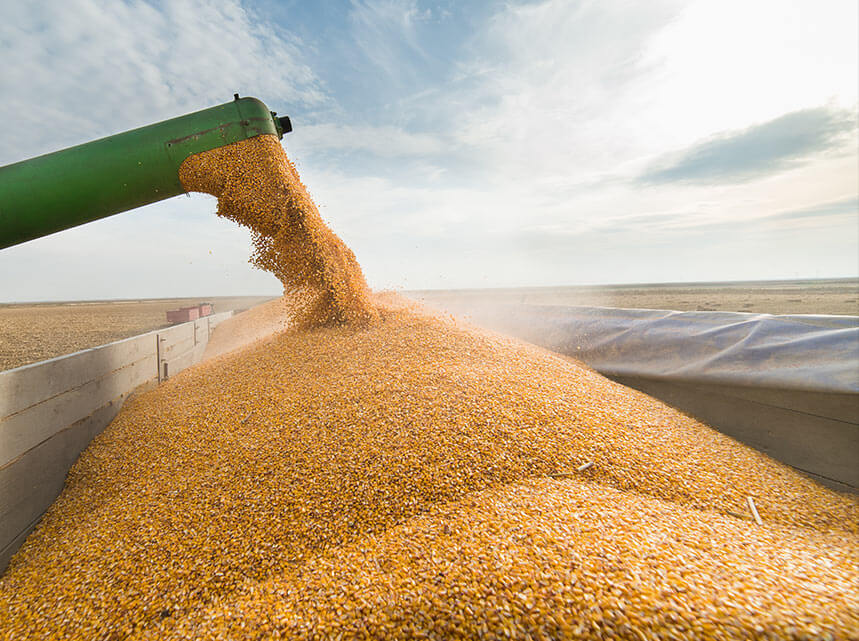 How to use NPK 12-32-16